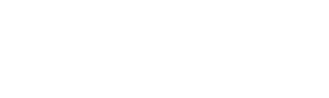 FS_Elementos site_Logo Fernanda (branco)